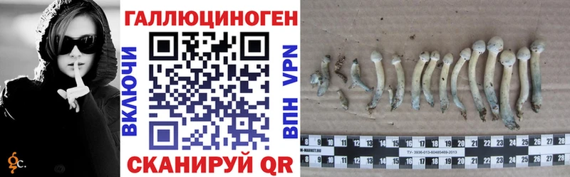 Купить где Берёзовский Псилоцибиновые грибы Magic Shrooms