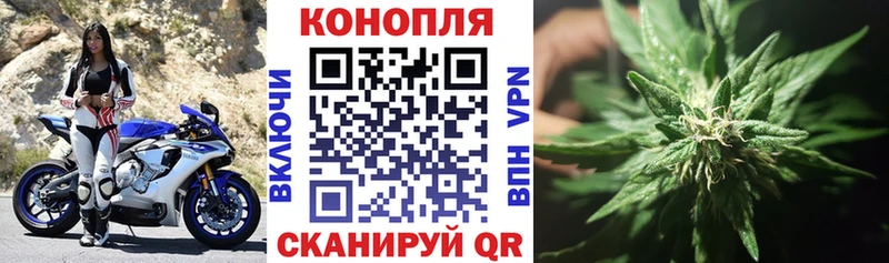 Купить  Берёзовский  Каннабис OG Kush 
